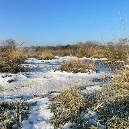 Farm stay Meedehof Moorhausen, Wh Kuhstall *