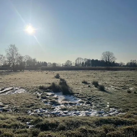 Farm stay Meedehof Moorhausen, Wh Kuhstall Varel