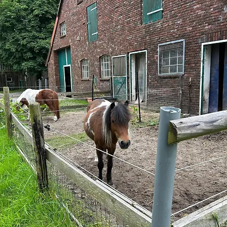 Meedehof Moorhausen, Wh Kuhstall Farm stay Varel