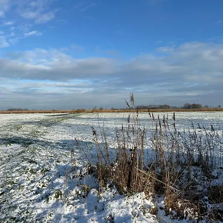 Meedehof Moorhausen, Wh Kuhstall *