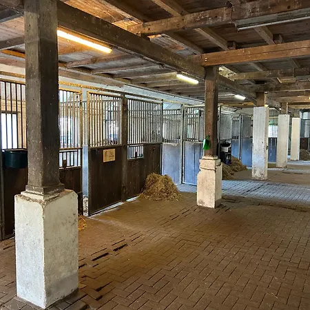 Farm stay Meedehof Moorhausen, Wh Kuhstall Varel