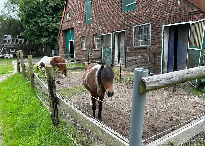 Meedehof Moorhausen, Wh Kuhstall Farm stay Varel