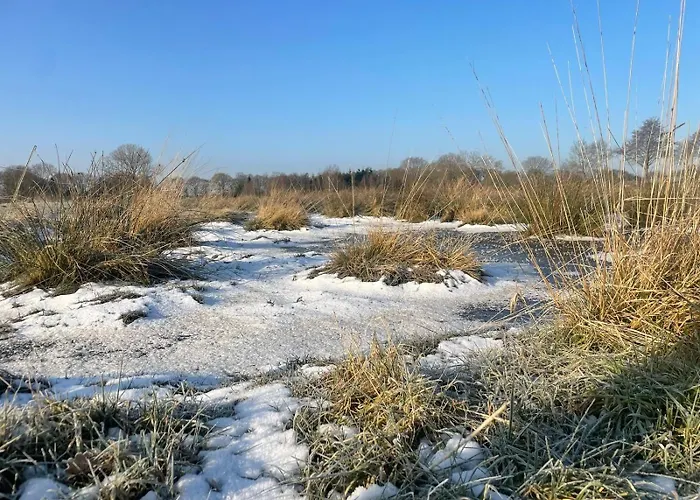 Farm stay Meedehof Moorhausen, Wh Kuhstall